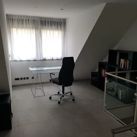 Haus Palmengarten Apartment