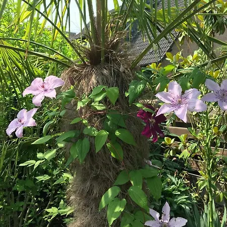 아파트 Haus Palmengarten